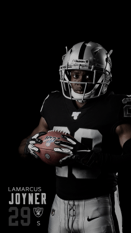 Raiders Wallpaper