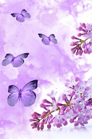 Butterfly Wallpaper