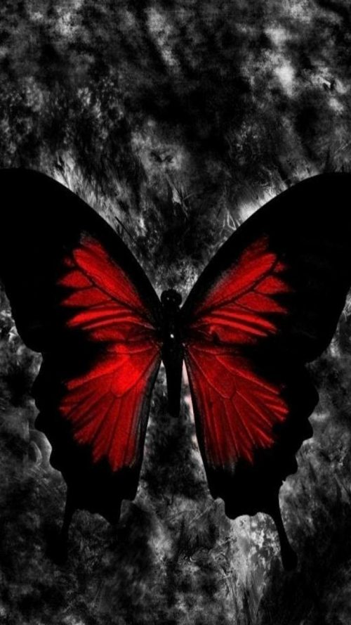 Butterfly Wallpaper