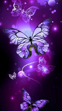 Butterfly Wallpaper