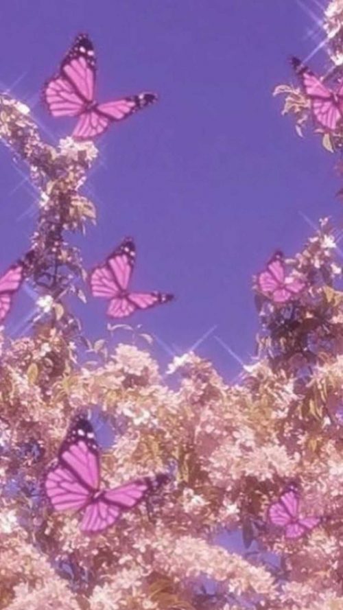 Butterfly Wallpaper