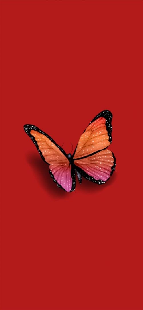 Butterfly Wallpaper