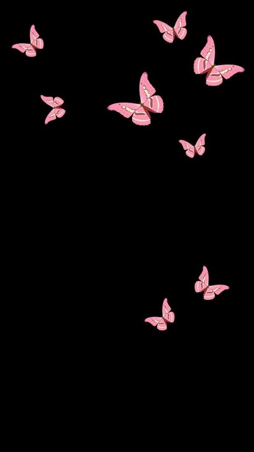 Butterfly Wallpaper