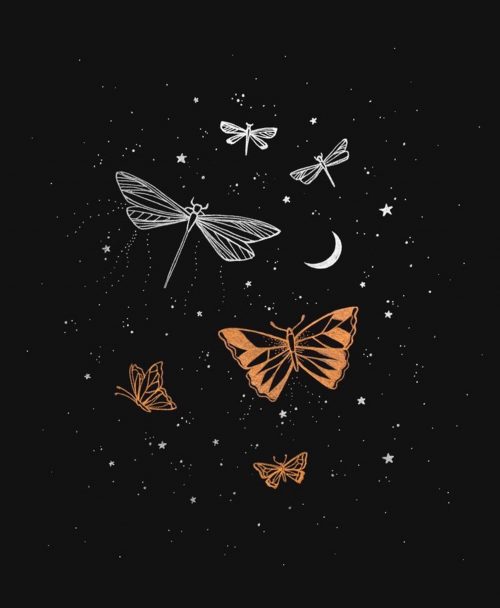 Butterfly Wallpaper