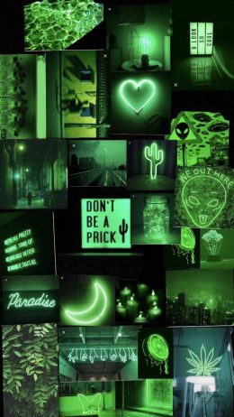 Green Aesthetic Wallpaper