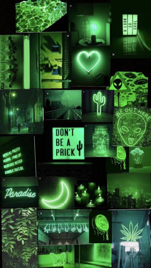 Green Aesthetic Wallpaper