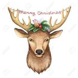 Deer Christmas Wallpaper