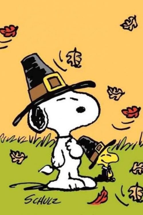 Snoopy Thanksgiving Wallpaper