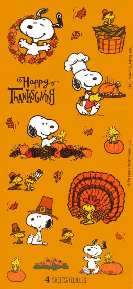 Charlie Brown Thanksgiving Wallpaper