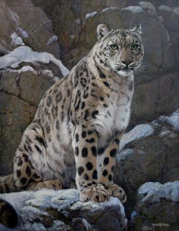 Snow Leopard Wallpaper