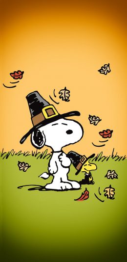 Charlie Brown Thanksgiving Wallpaper