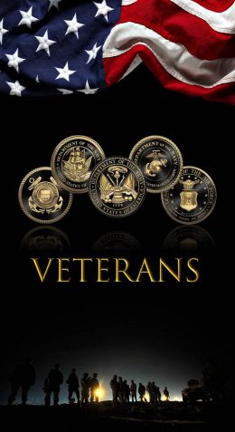 Veterans Day Wallpaper