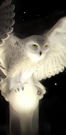 Snowy OWL Wallpaper