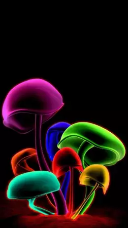 Mushroom Wallpaper