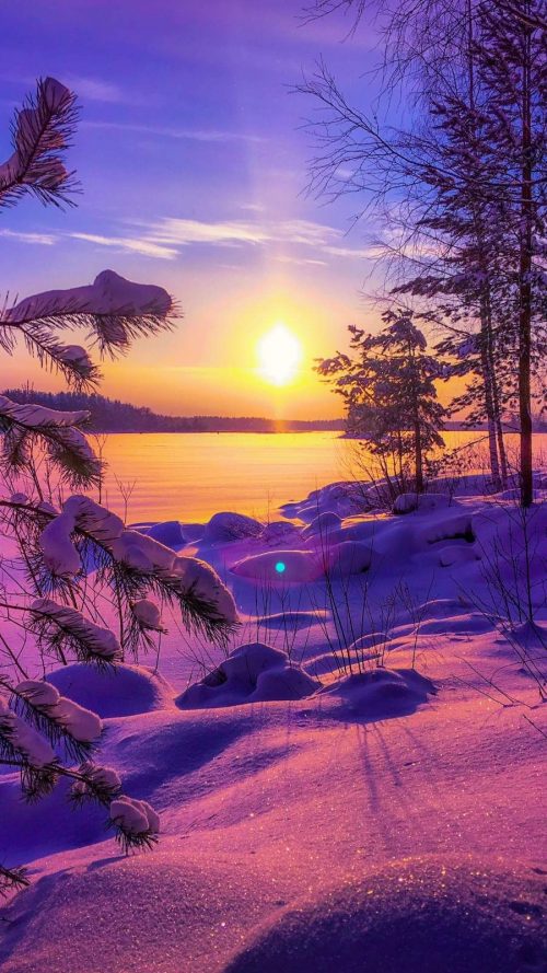 Winter Scenes Wallpaper