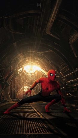 Spider Man No Way Home Wallpaper