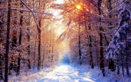 Winter Scenes Wallpaper