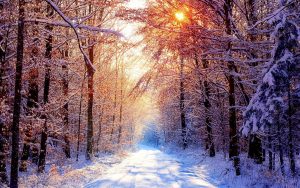Winter Scenes Wallpaper