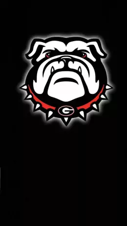 Georgia Bulldogs Wallpaper