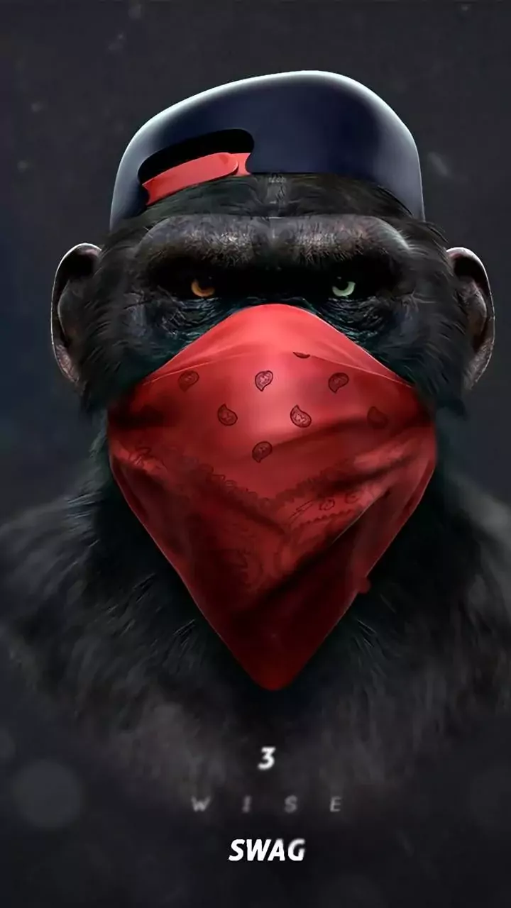 Monkey Wallpaper