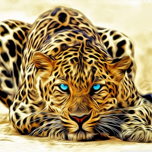 Leopard Wallpaper