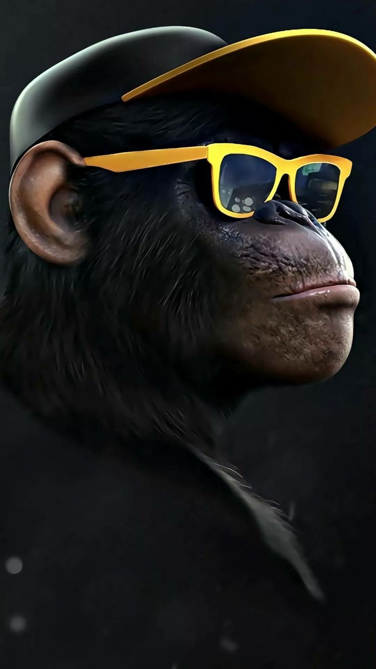 Monkey Wallpaper