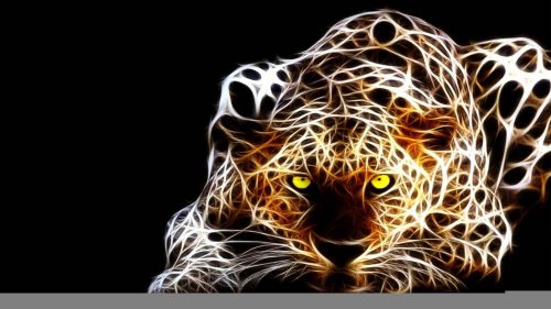 Leopard Wallpaper Desktop