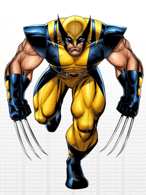 Wolverine Wallpaper