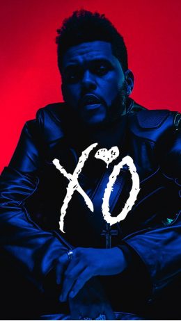 XO Wallpaper