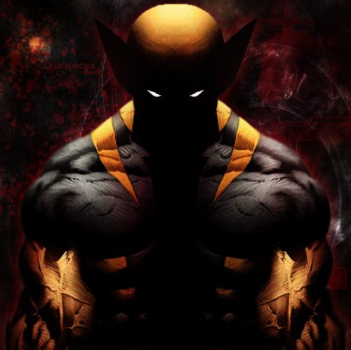 Wolverine Wallpaper