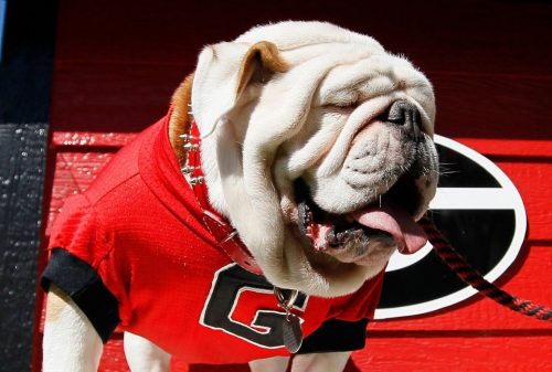 Georgia Bulldogs Wallpaper