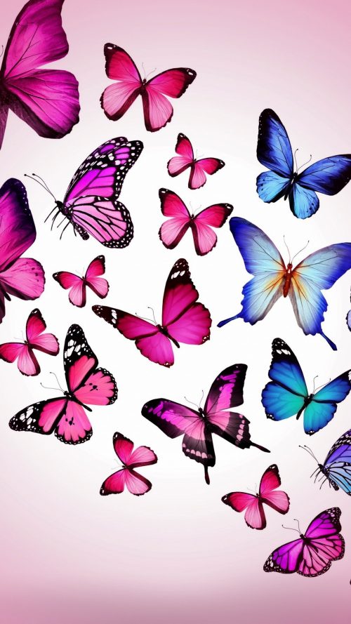 Pink Butterfly Wallpaper