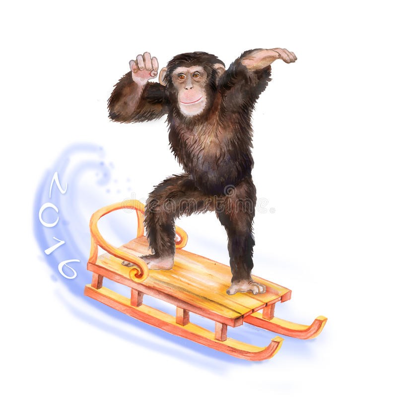 Monkey Wallpaper