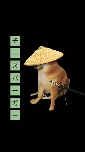 Samurai Doge Wallpaper