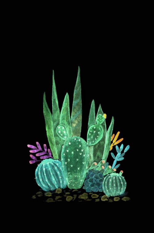 Cactus Wallpaper