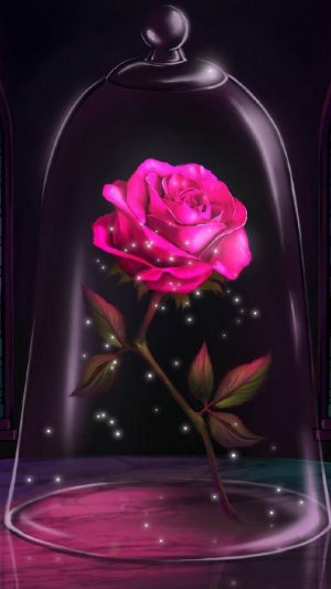 Rose HD Wallpaper