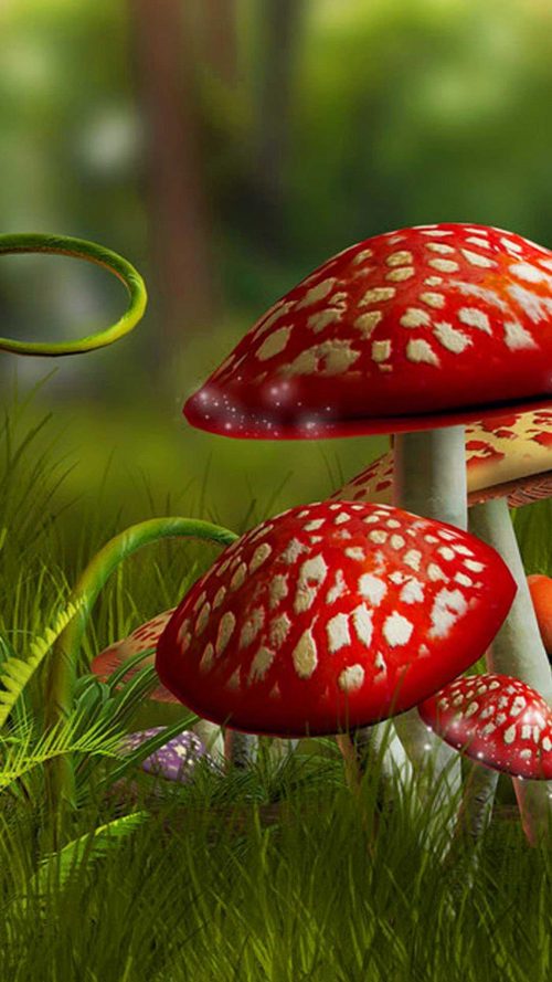 Mushroom Wallpaper