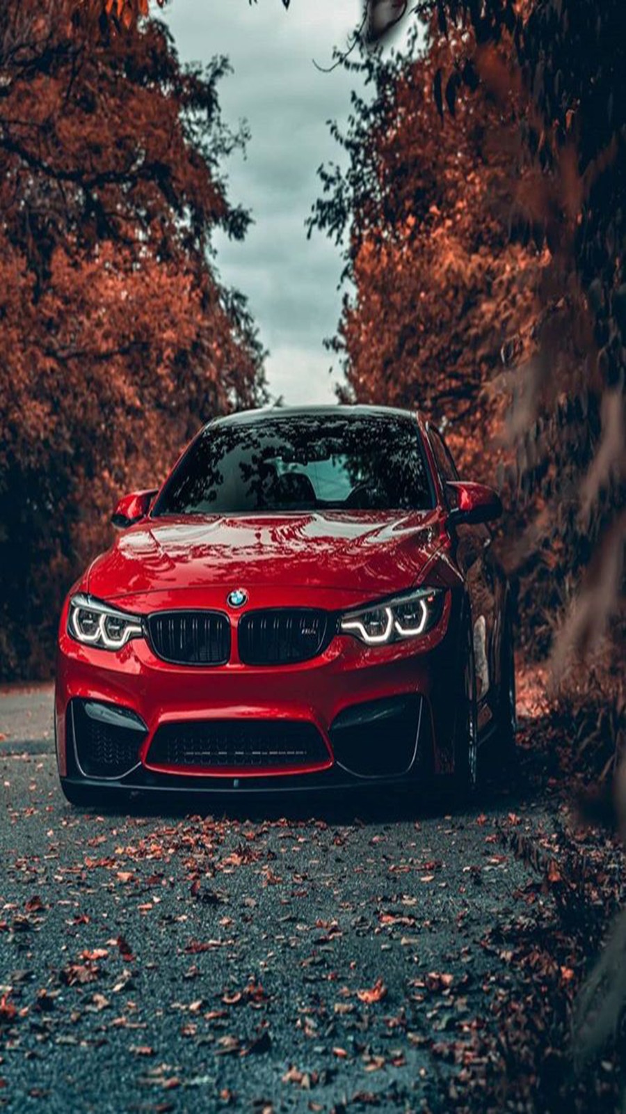 BMW Wallpaper