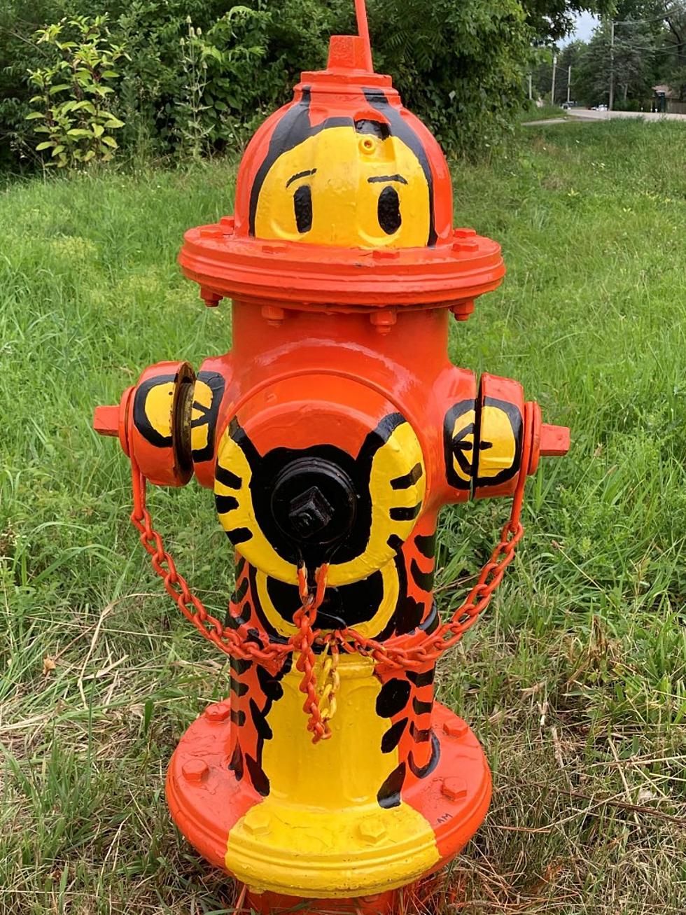 Fire Hydrant Wallpaper