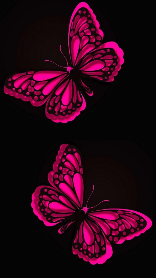 Butterfly Wallpaper