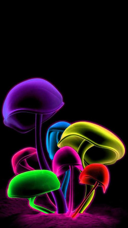 Mushroom Wallpaper