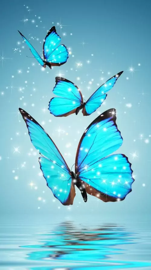 Butterfly Wallpaper