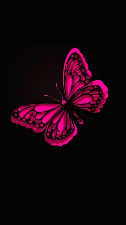 Butterfly Wallpaper