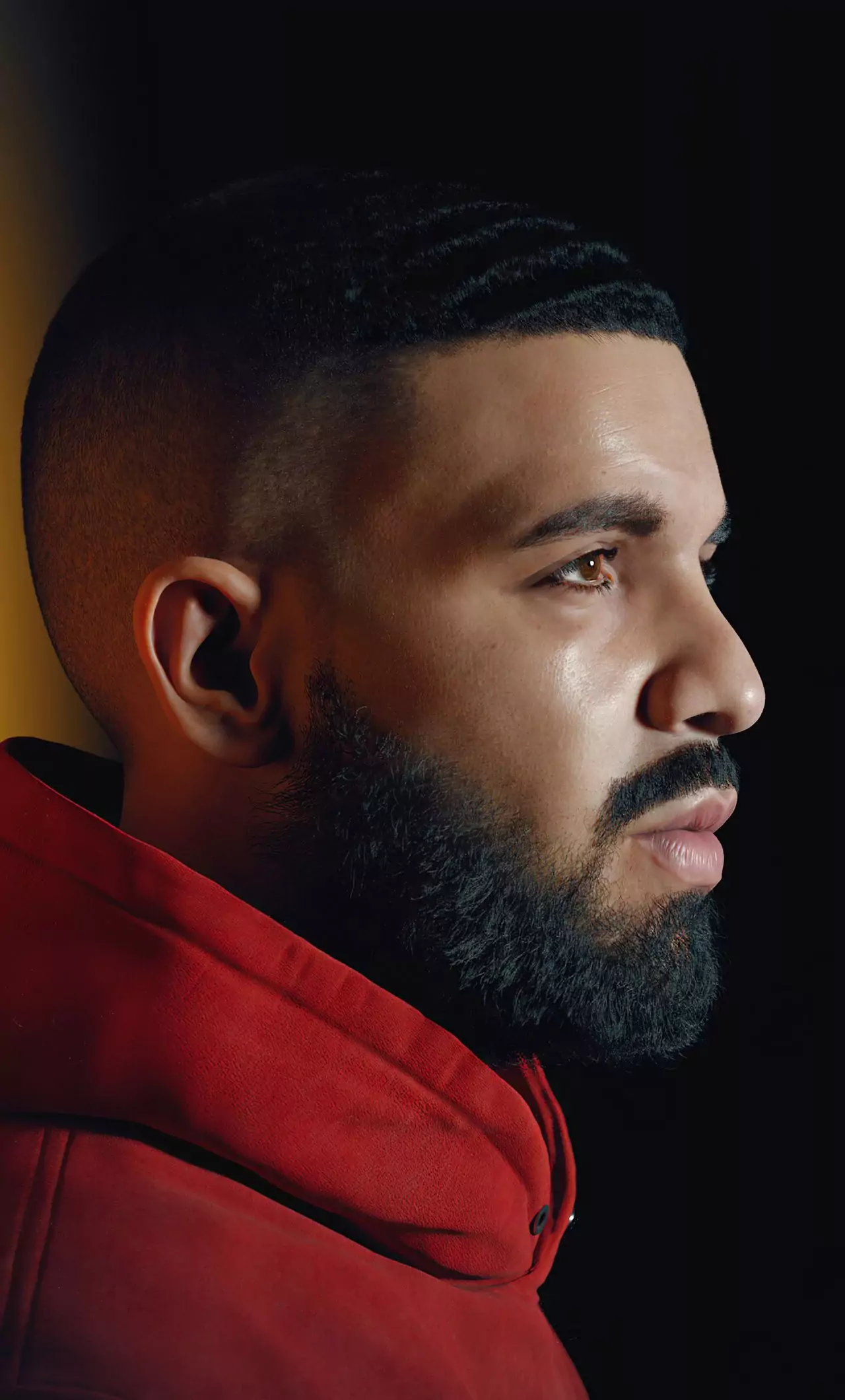 Background Drake Wallpaper