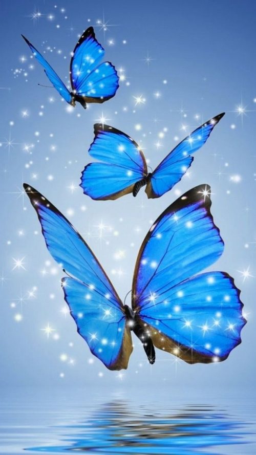 Blue Butterfly Wallpaper