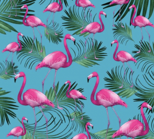 Background Flamingo Wallpaper