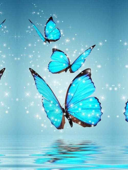 Blue Butterfly Wallpaper