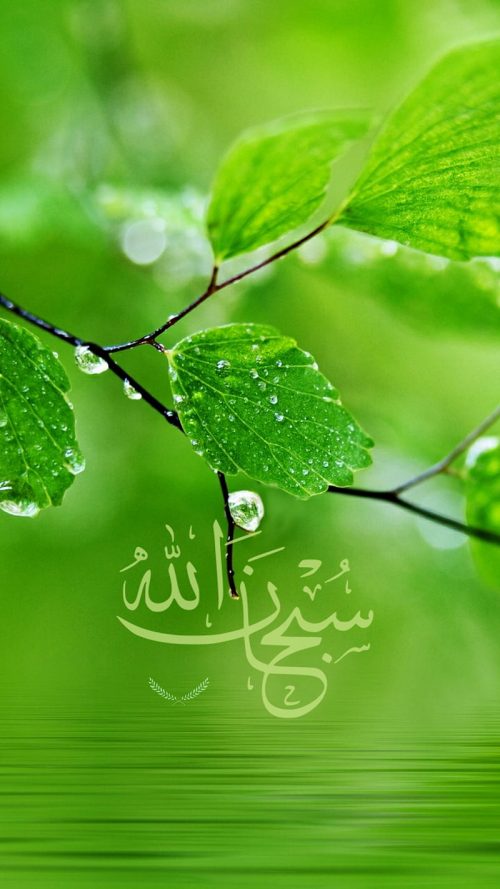 Background Islamic Wallpaper