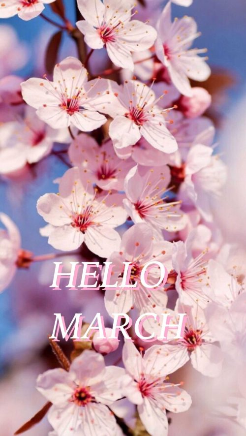 Hello March Wallpaper