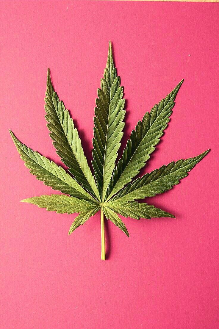 Background Weed Wallpaper